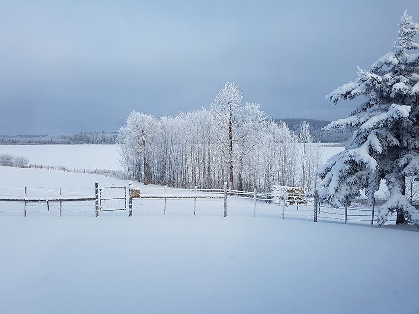 photo of snow covering the fields and fence at a ranch