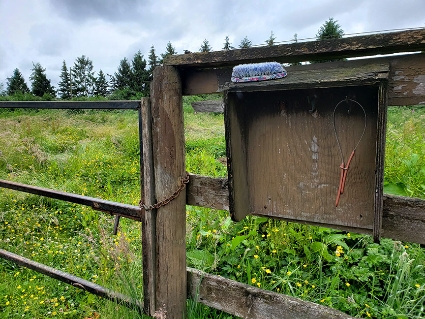 photo of a locked paddock gate with a horse brush and metal sweat scraper hanging beside the gate