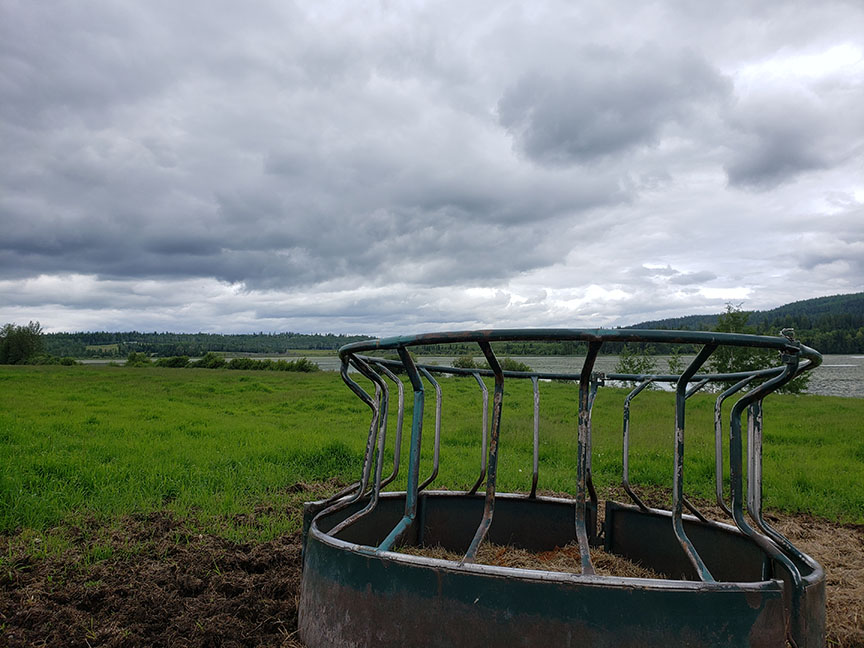 photo of a round feeder in a field on an overcast day