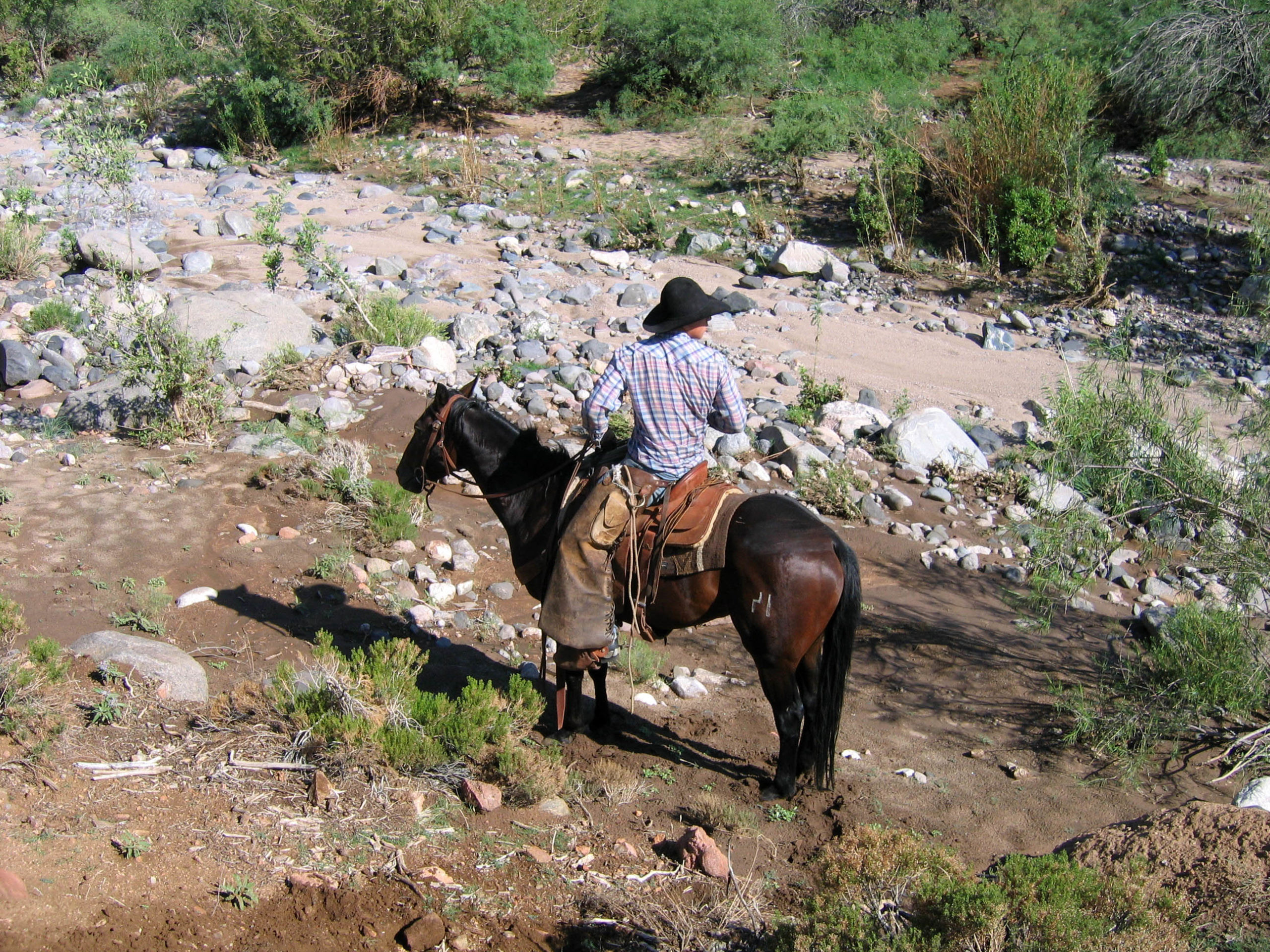 photo of a cowboy in a stream in Arizona