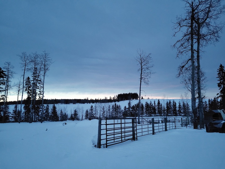 photo of a dark sky over a snowy paddock
