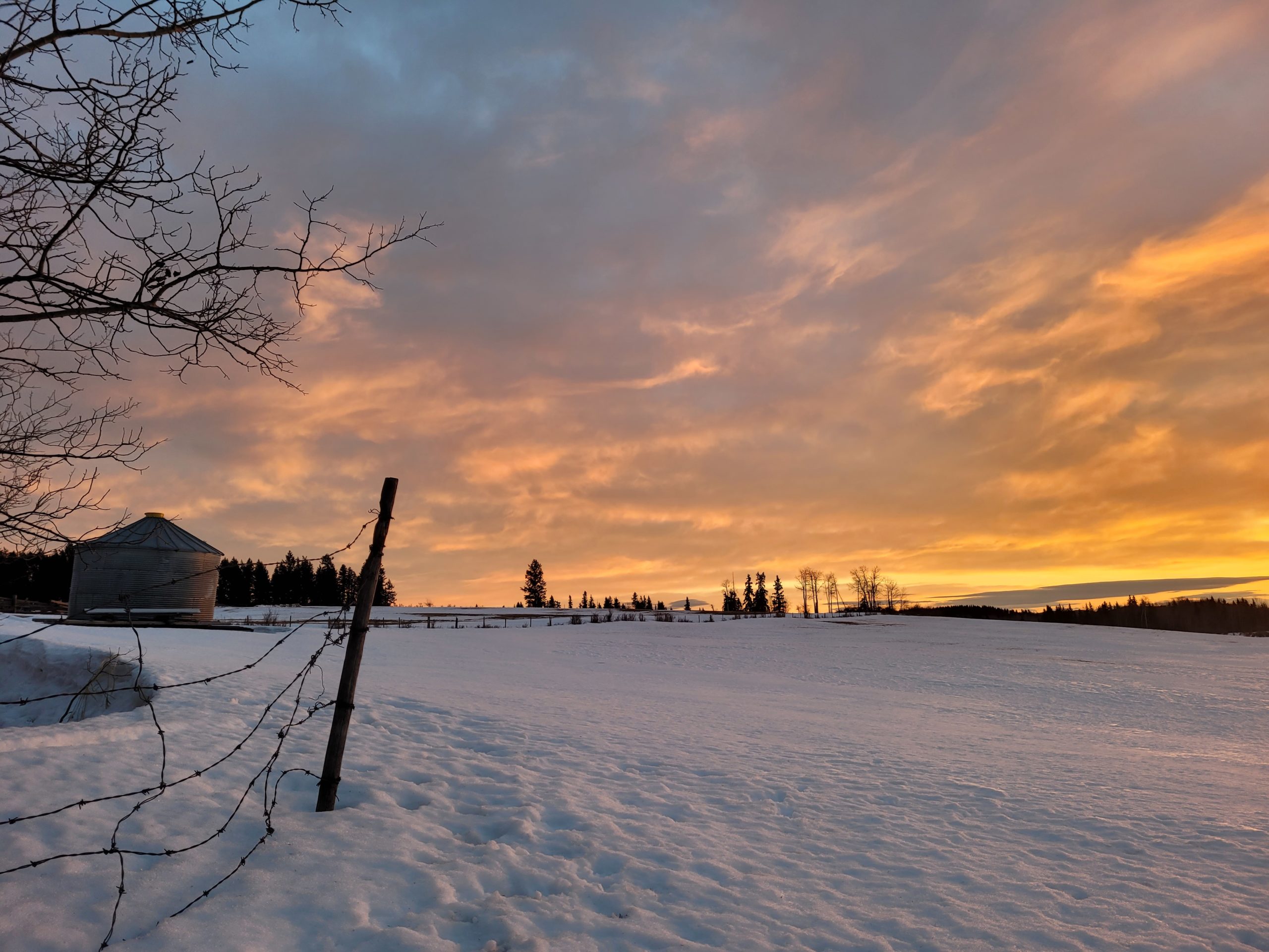 photo of a pink, orange, and yellow sunrise over a wide snow-covered country field
