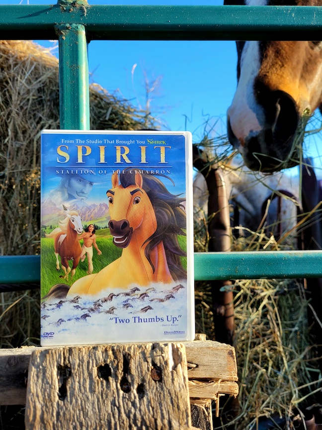 photo of the spirit DVD propped against a green fence, with a horse eating hay from a round feeder in the background