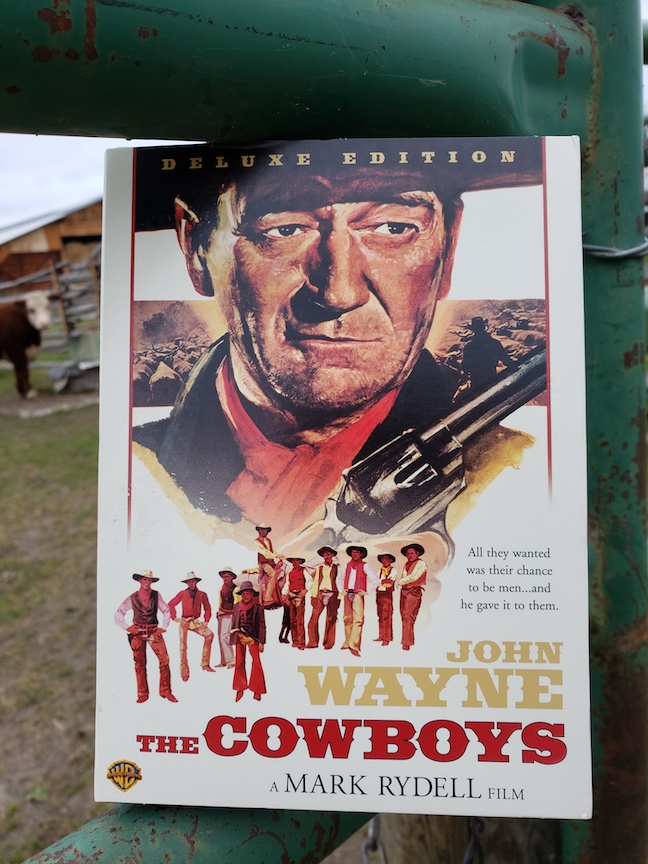 photo of the cowboys DVD