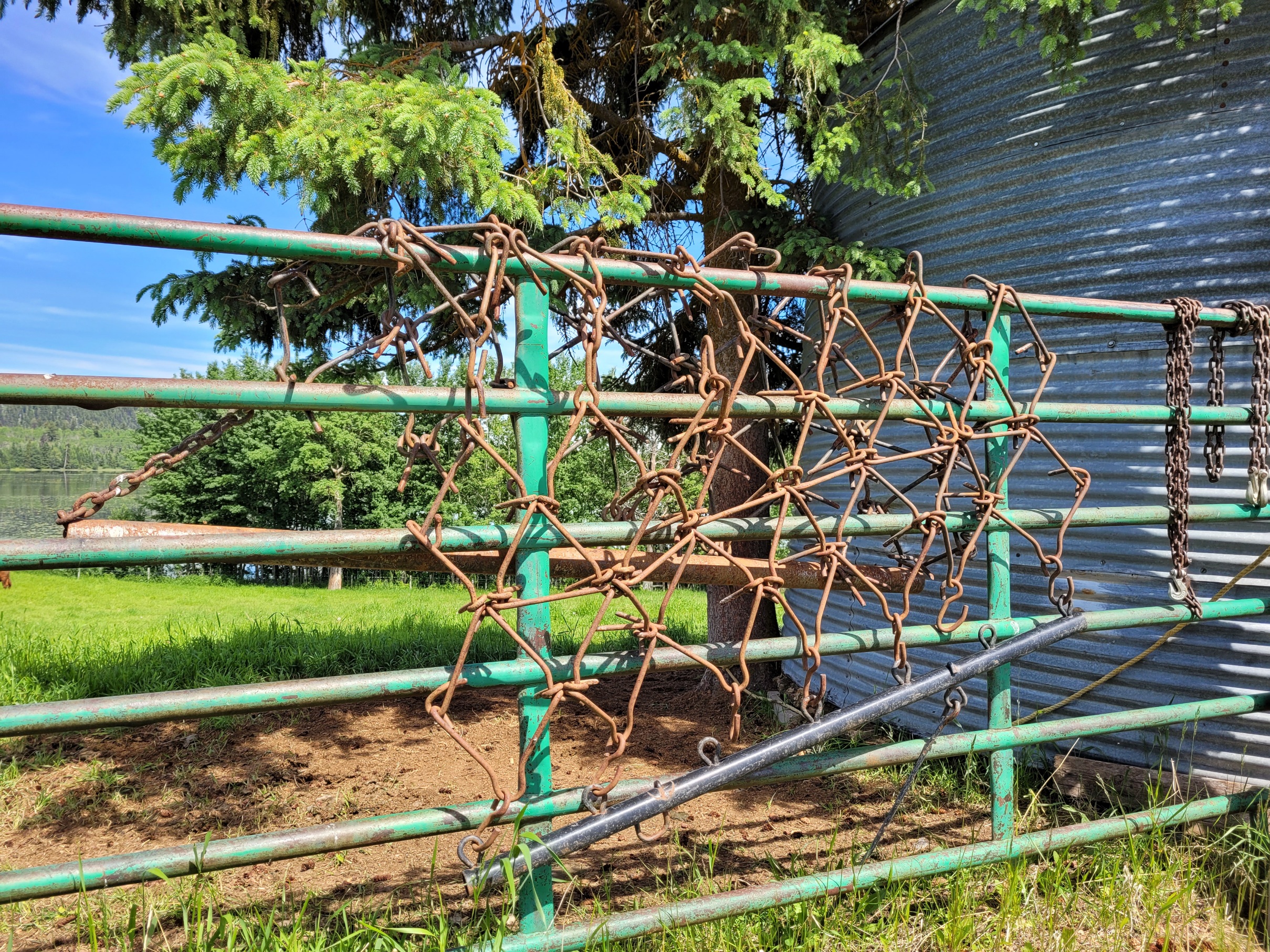 photo of ranching equipment hanging on a green metal gate on a sunny day