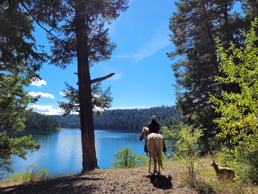 horse and rider overlooking a blue lake on a sunny day