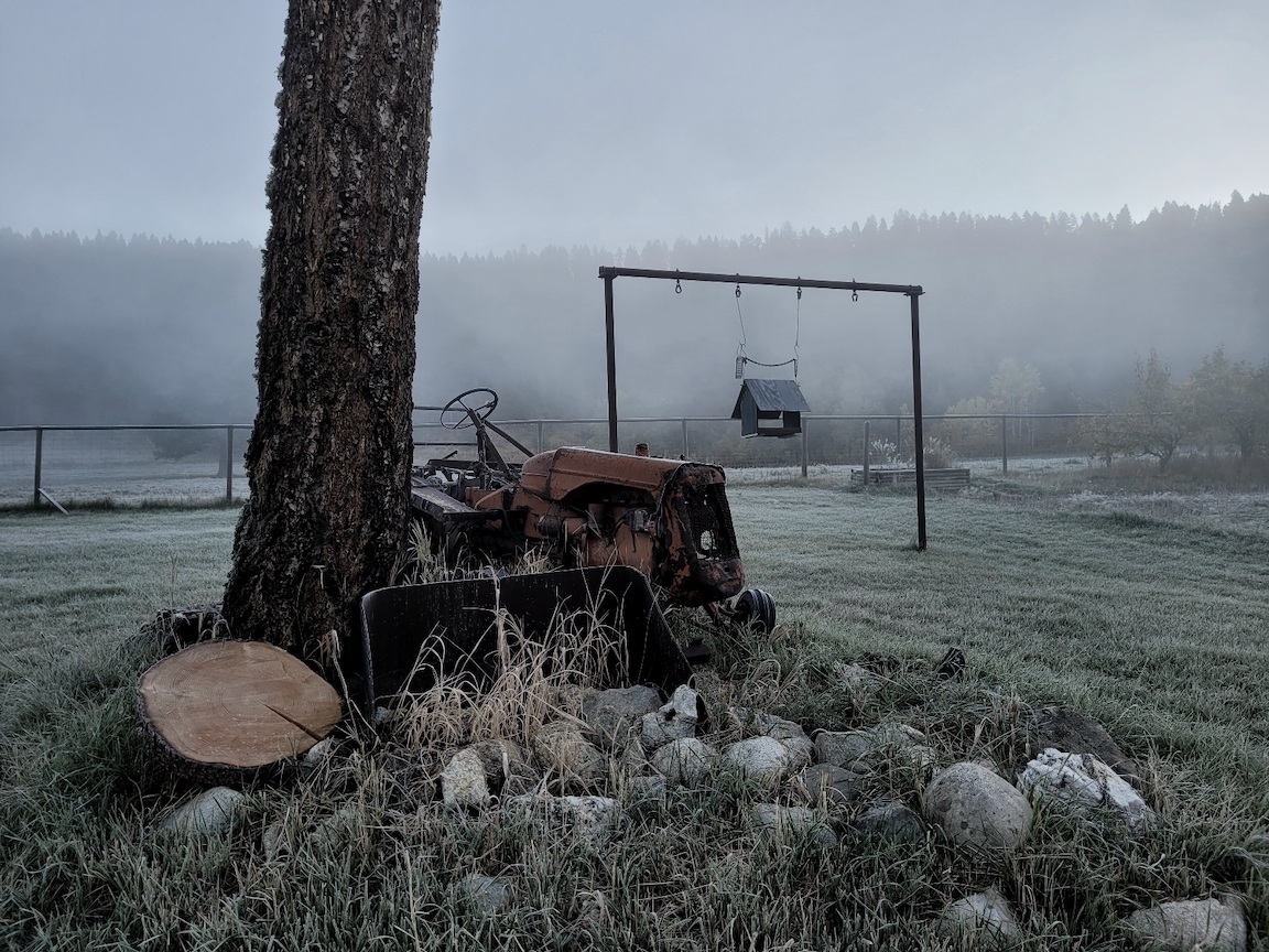 photo of an antique tractor and a birdhouse hanging from a swingset-like frame, on a foggy morning