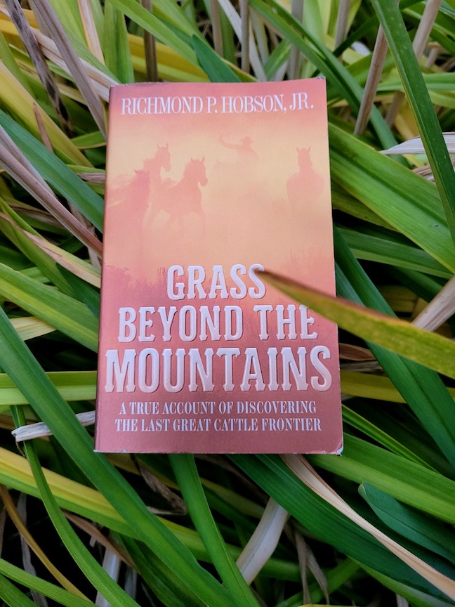 photo of the book 'grass beyond the mountains', resting in thick plants