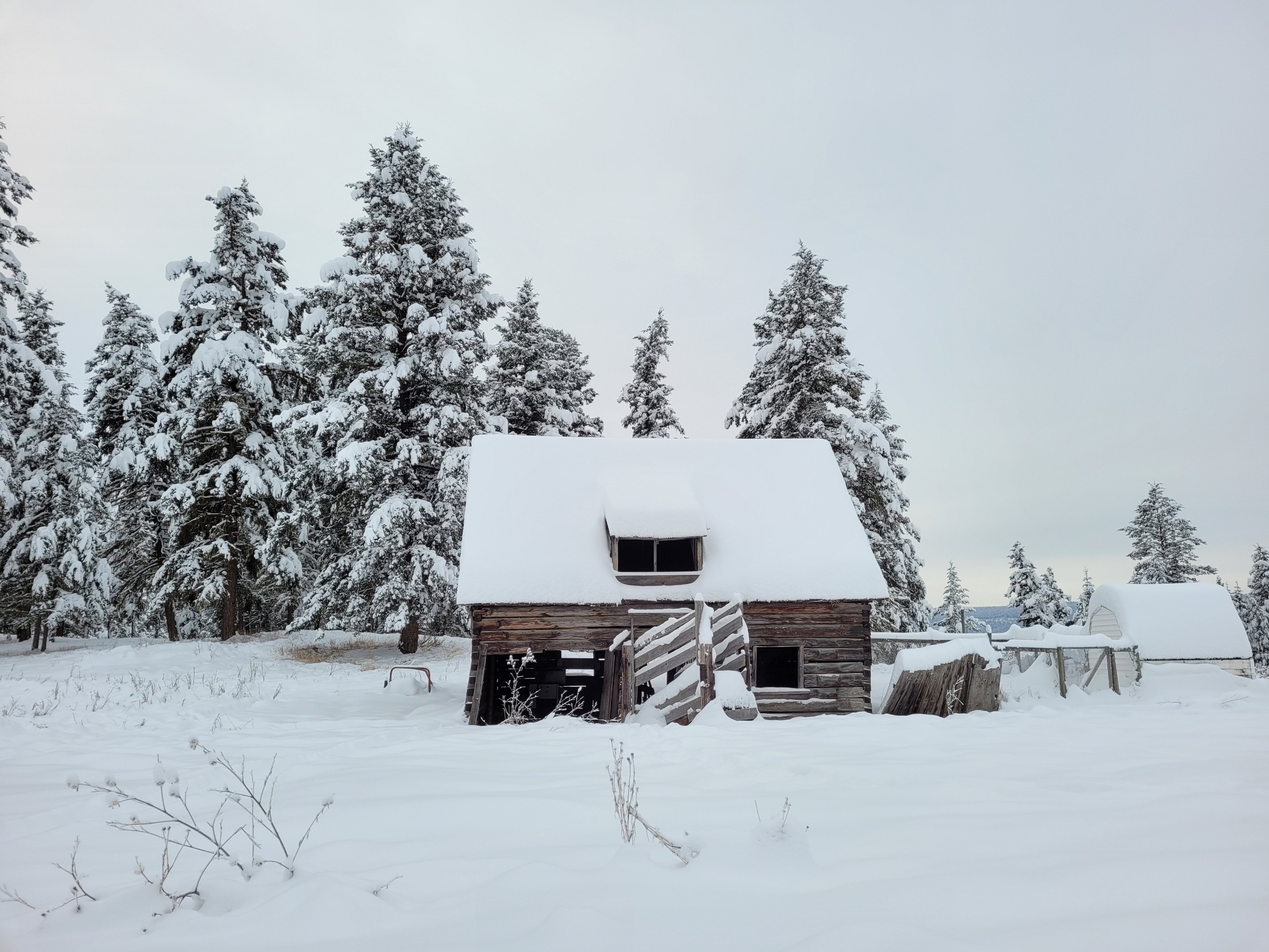 photo of a dilapidated barn in thick snow