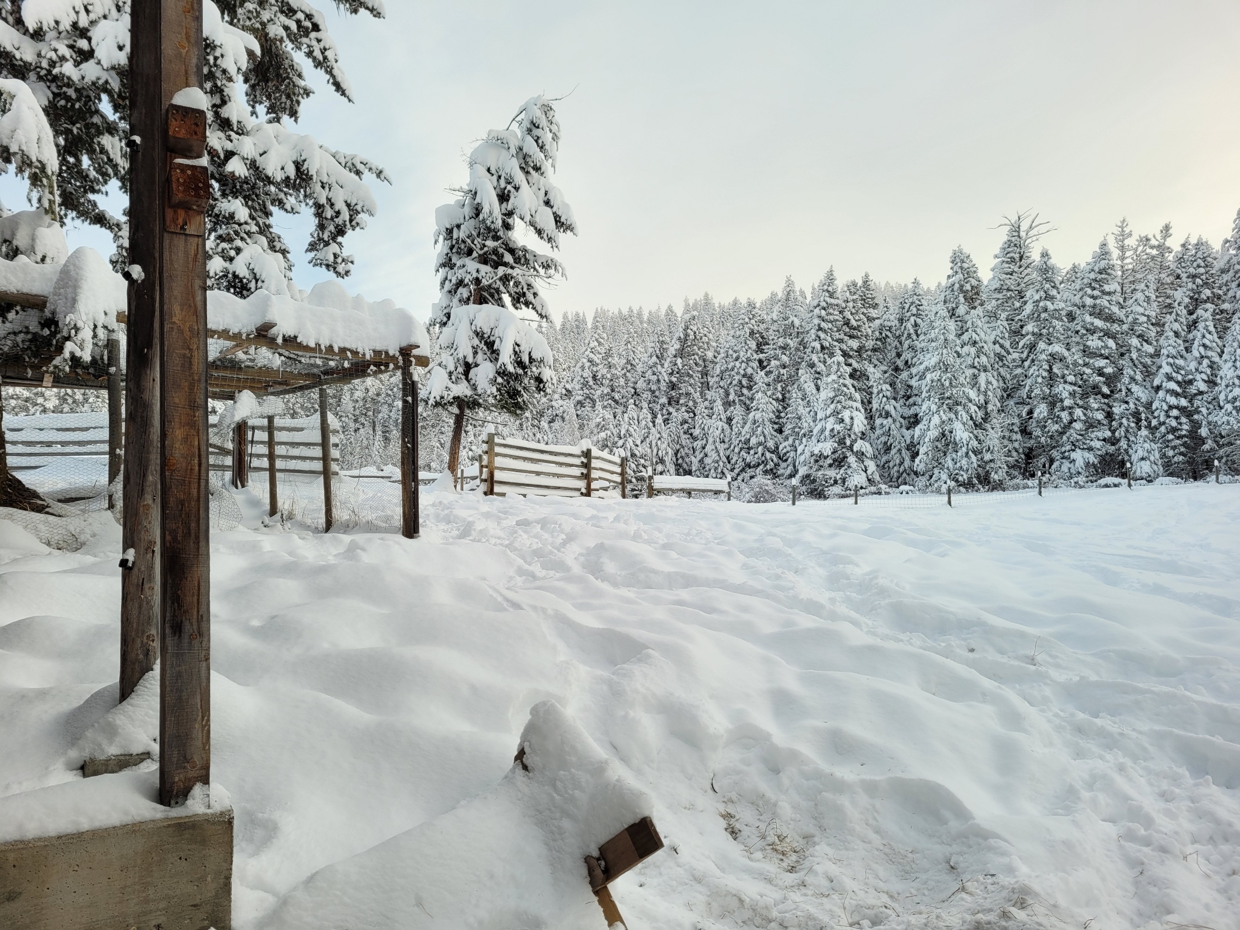 photo of a ranch field and fences in snow