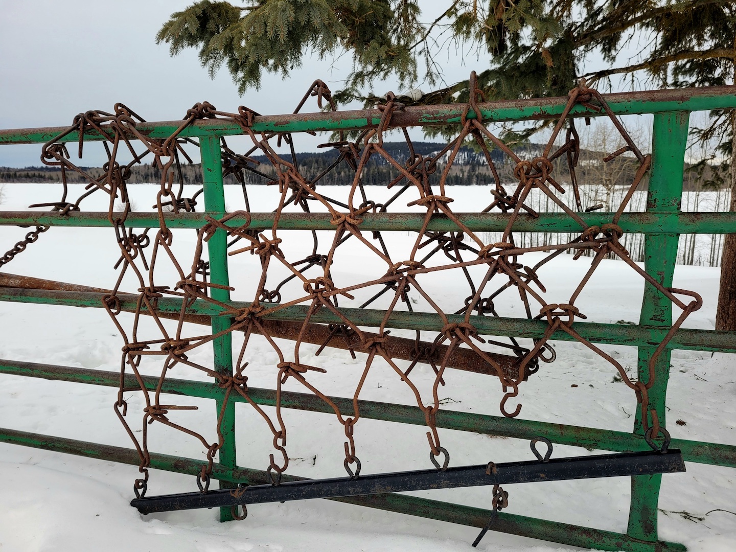 photo of rusted, barbed haying chains hanging on a fence in snow