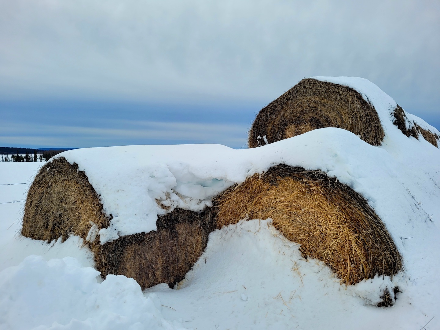 photo of old hay bales in snow