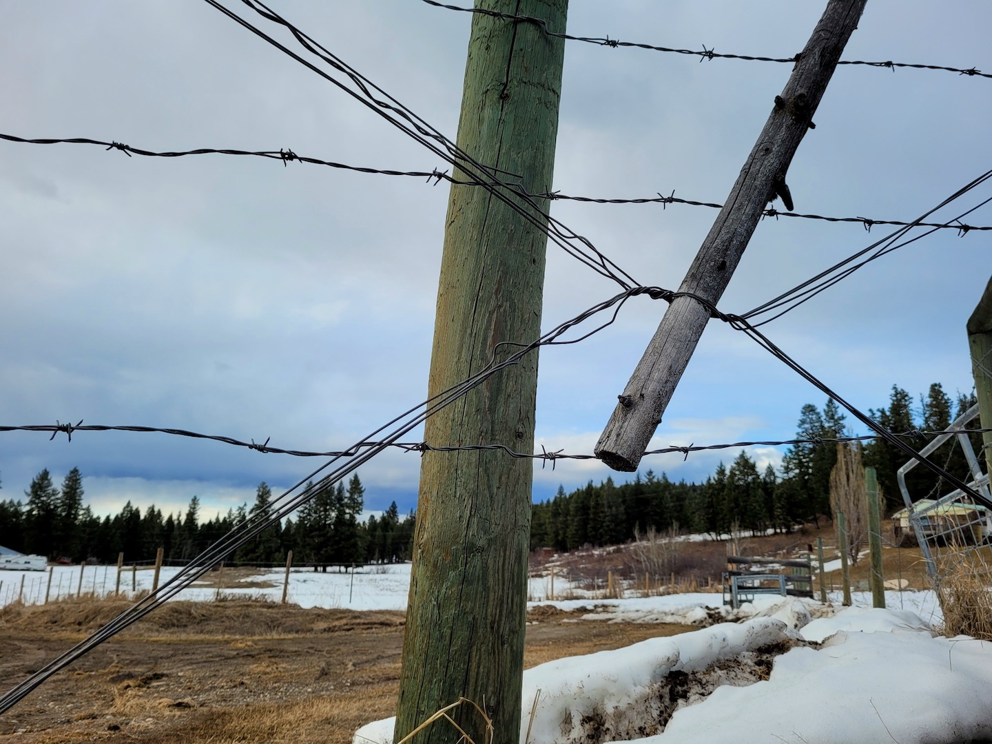 photo of a barbed wire fence in front of a farm field with melting snow