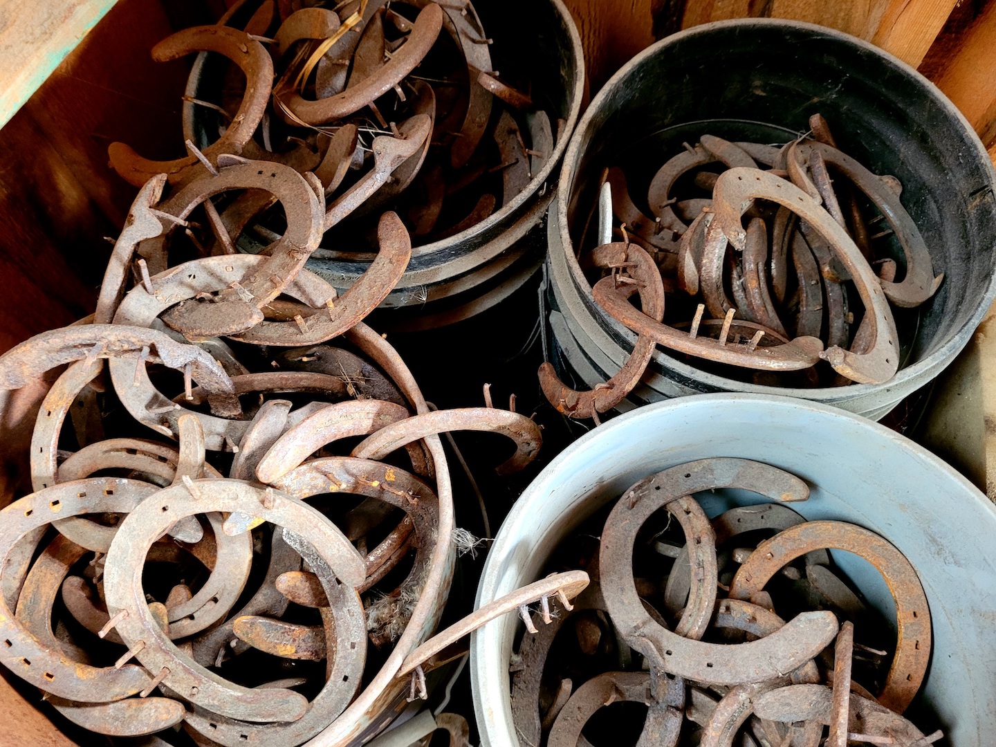 photo of 4 buckets of rusty horseshoes