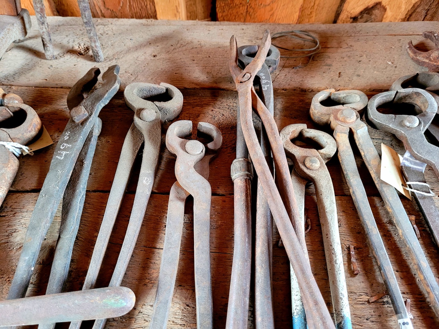 photo of dusty, rusty old farrier tools laid out on a wooden table