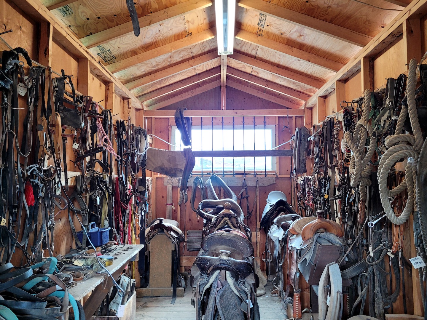 photo of a dusty old tack room full of dry, worn out used tack