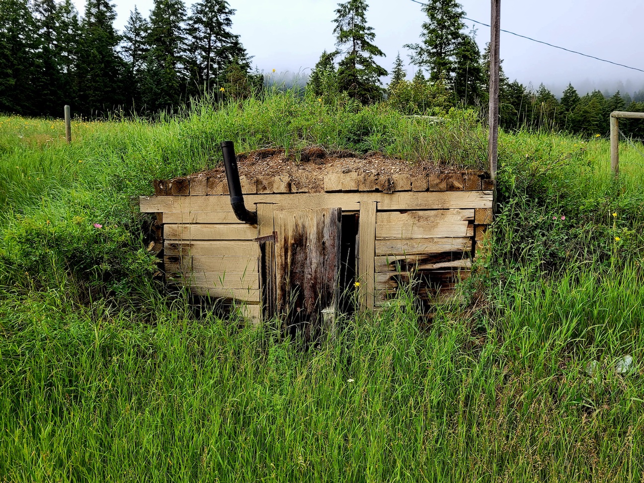 photo of a root cellar in a hill