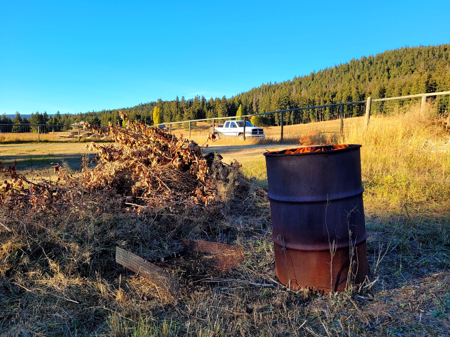 photo of a flaming burn barrel next to a pile of yard scraps, a sunny field in the background