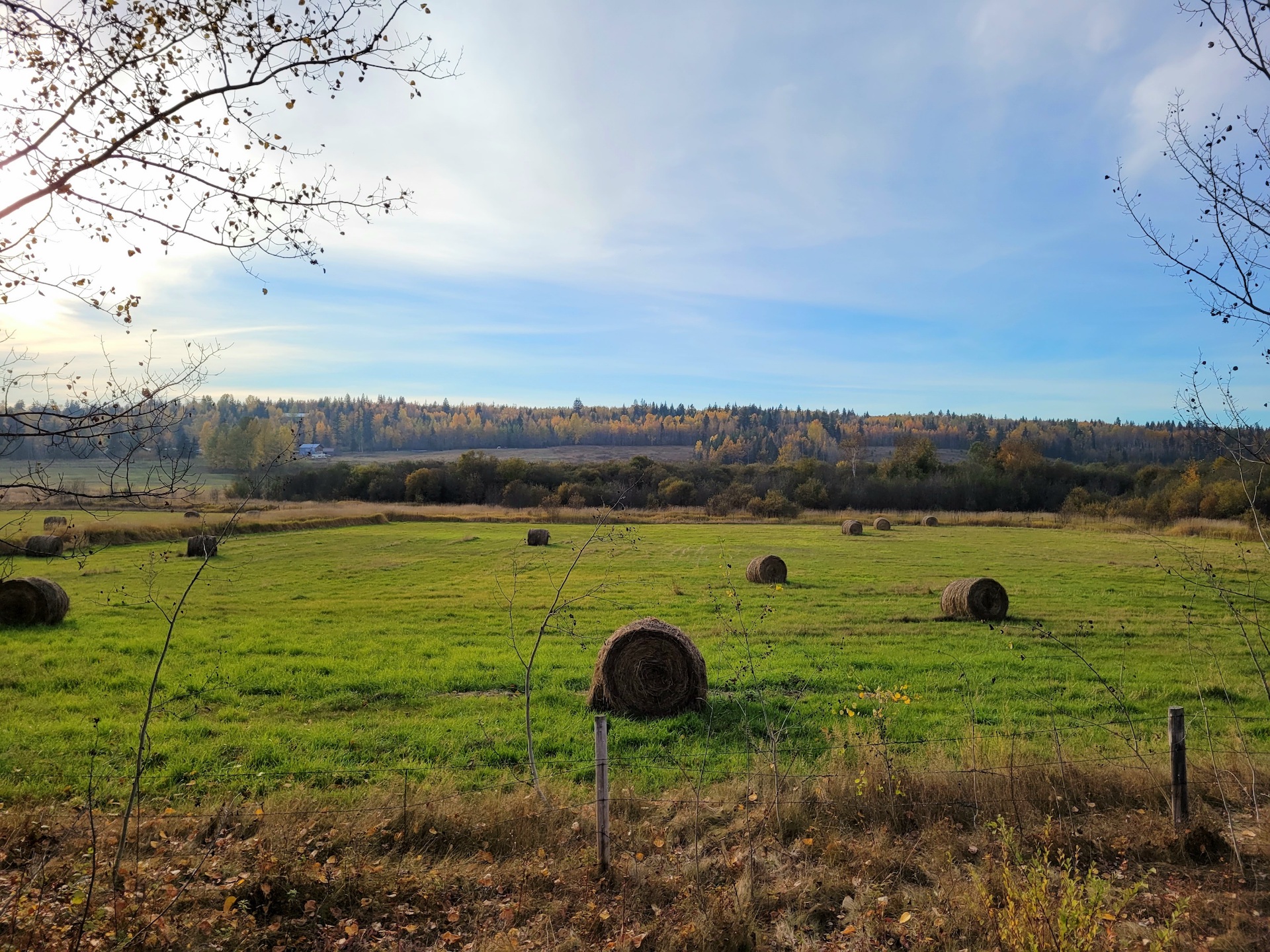 hay bales on a sunny field in late fall