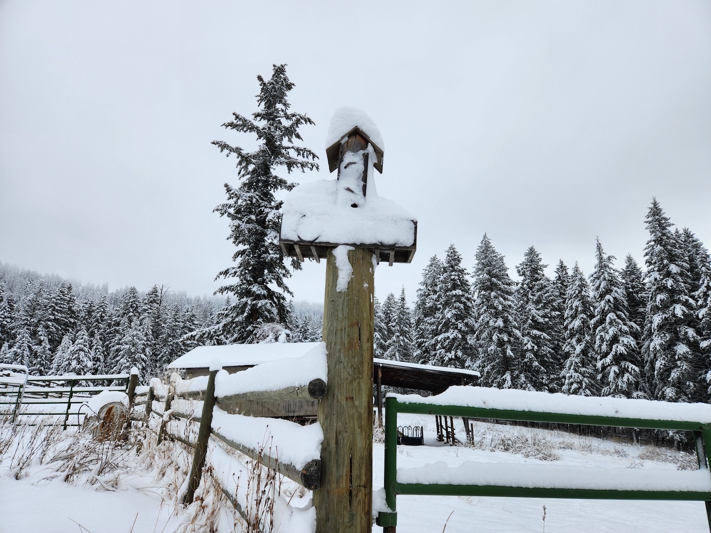 photo of a snow-covered wooden bat house in front of a field