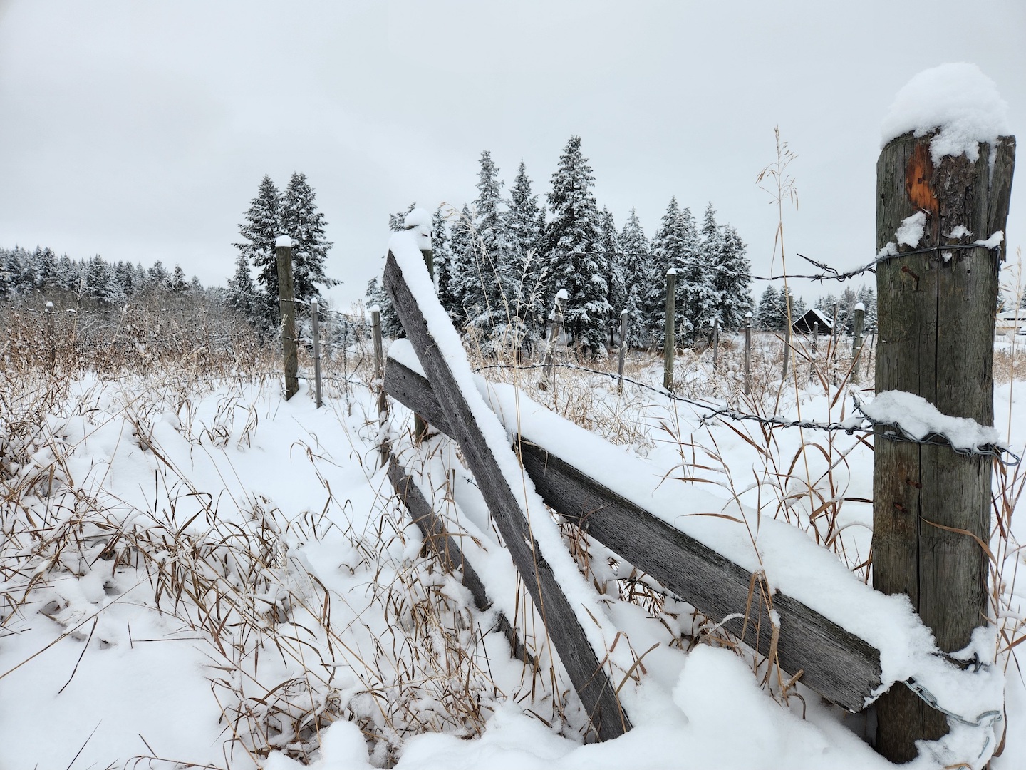 photo of a broken fence in snow, the top rail down, a string of barbed wire behind it