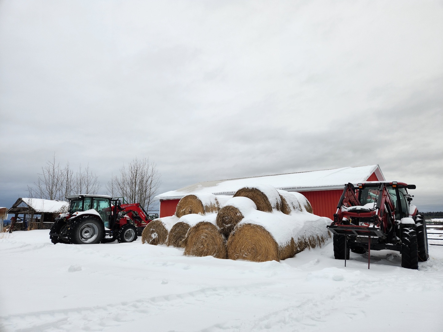 photo of a stack of hay bales covered in snow, against a red barn, with two tractors parked on either side of the hay