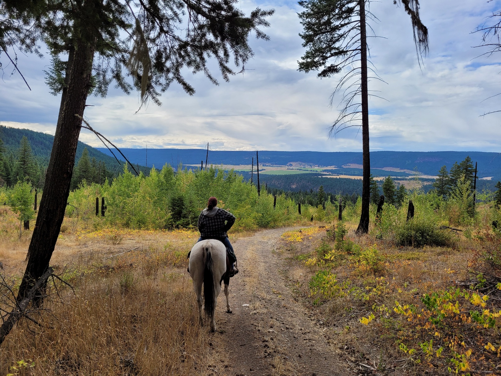 photo of a woman on a horse overlooking a vast green valley