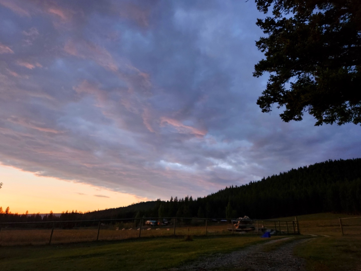 photo of a blue and purple sunset on thick clouds, over a farm field and a hill covered in dark trees