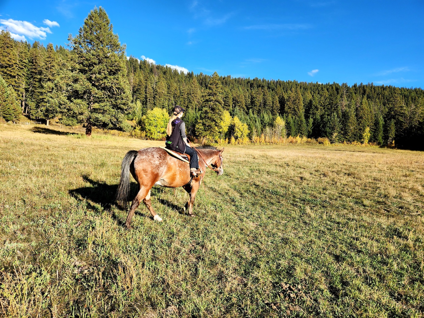 photo of a blonde woman riding an appaloosa horse in a field