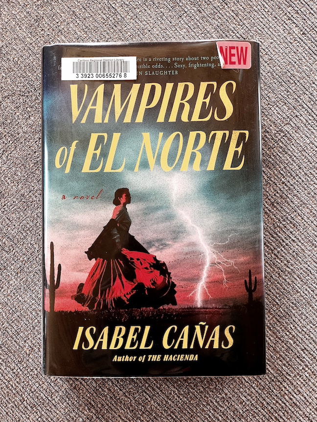 photo of the book Vampires of El Norte on a grey cushion background