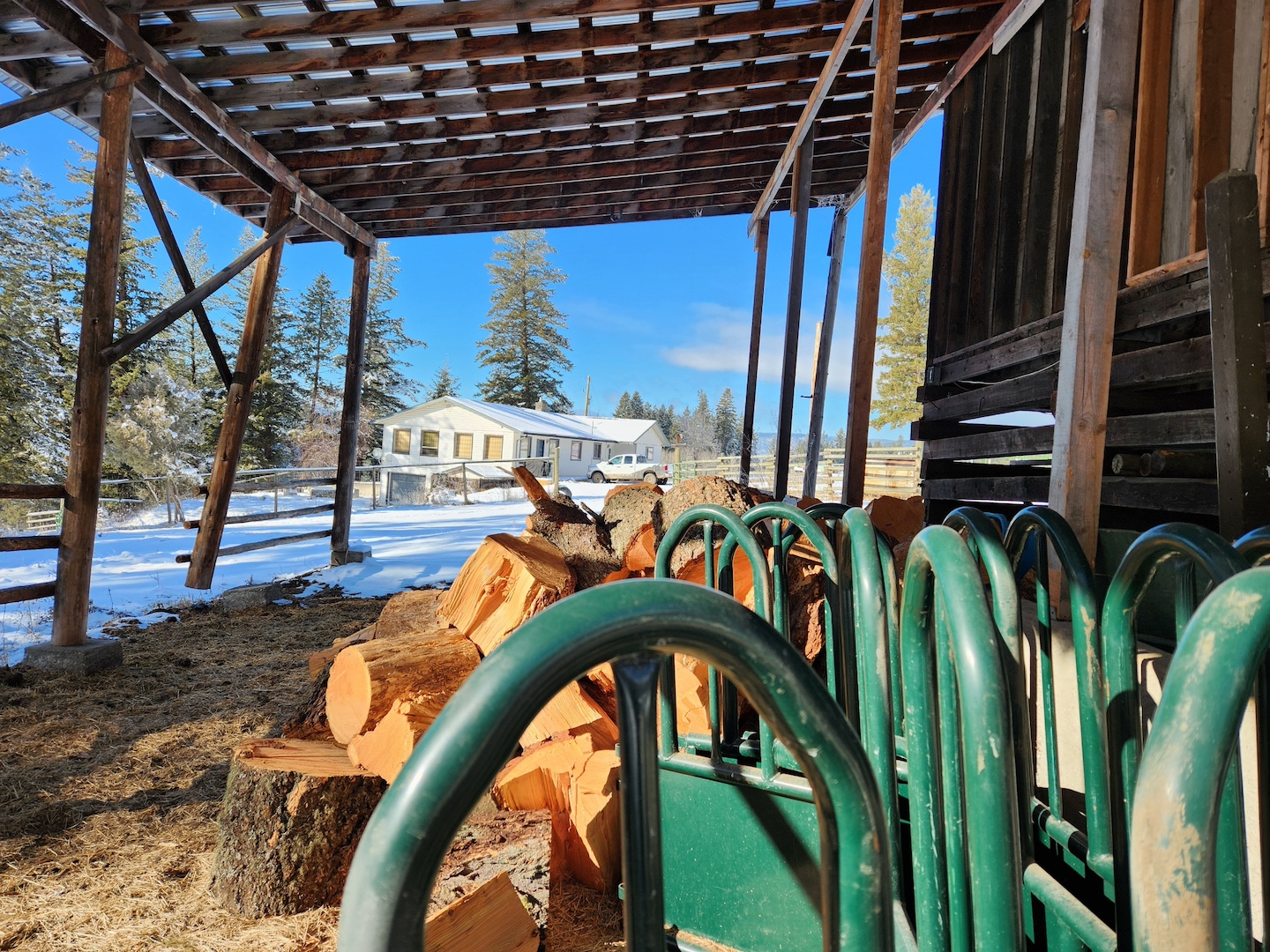 photo of a pile of firewood under a barn overhang, with a green round feeder in the foreground