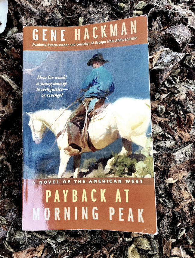 photo of the payback at morning peak paperback against a pile of dead leaves