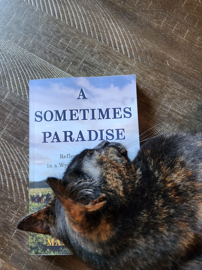 photo of a small tortie cat lying on the book A Sometimes Paradise so only the title is visible