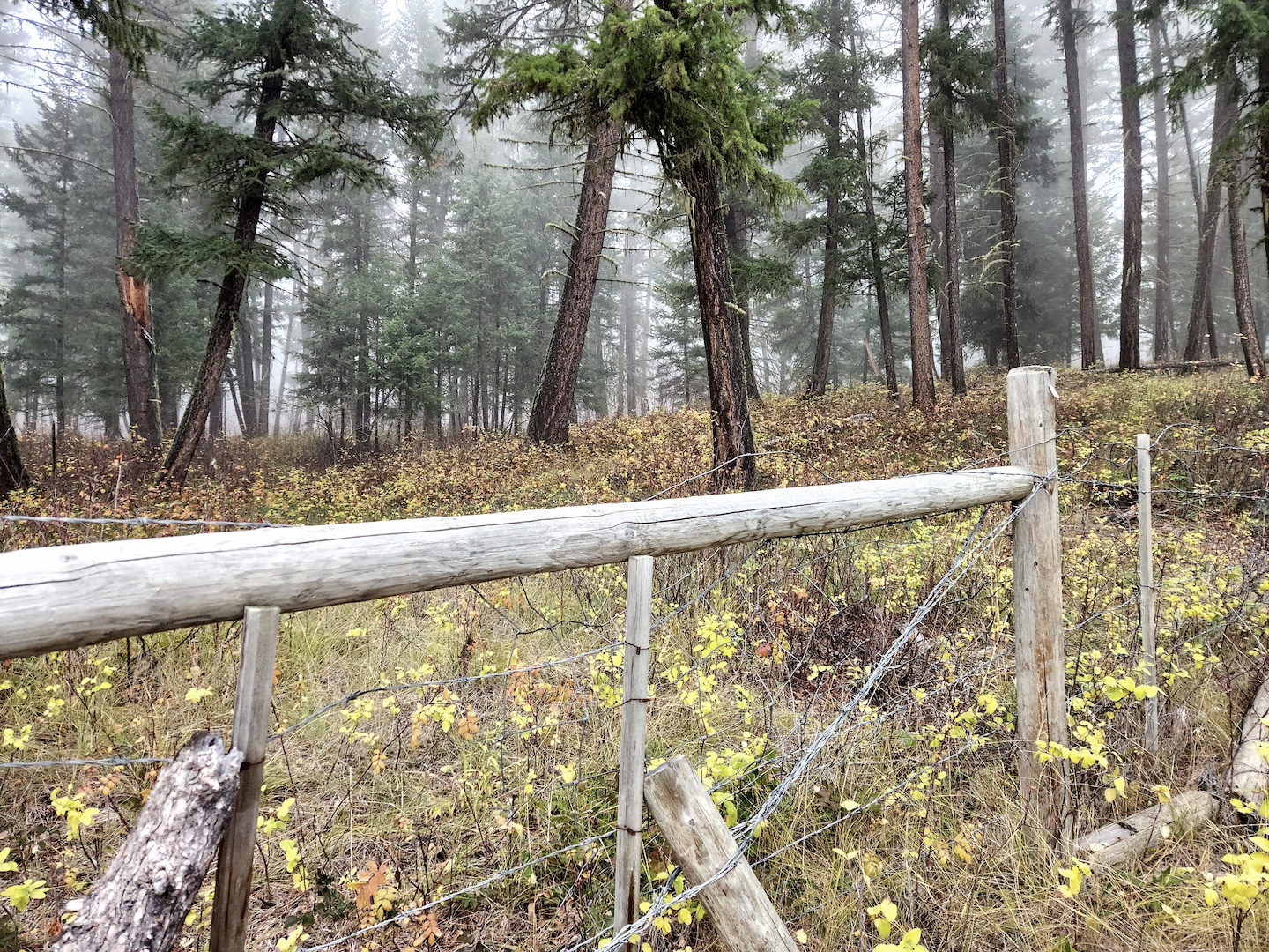 photo of a wooden farm fence against a misty forest in the background, in autumn