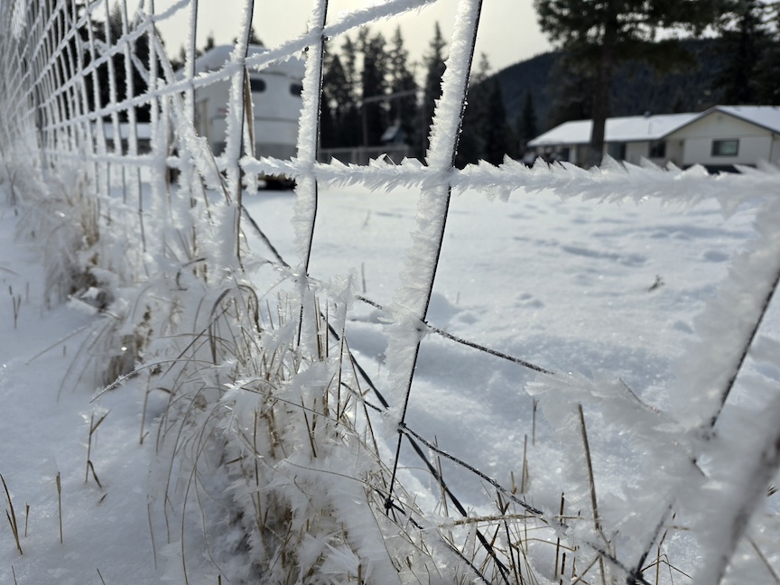 photo of a snow-covered wire farm fence