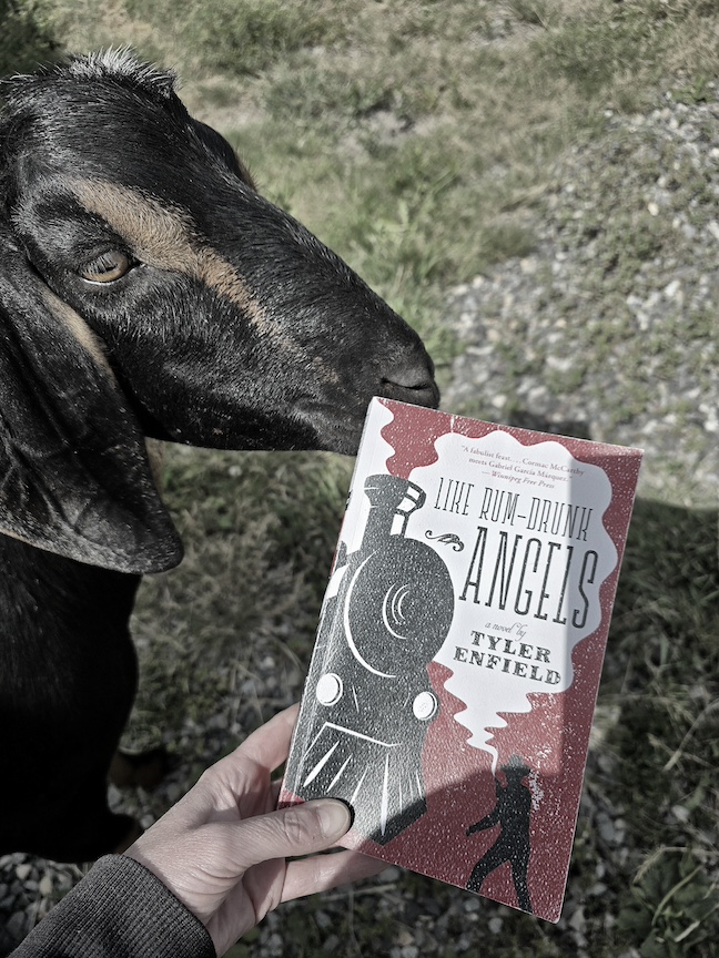 photo of the book with a brown and tan goat