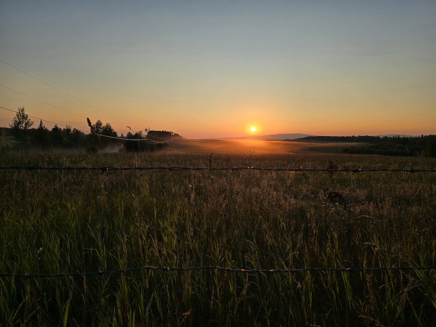 photo of a deep sunset with a barbed wire fence in the dark foreground