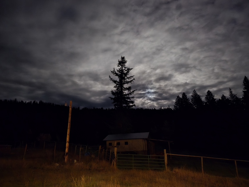 photo of a dark night sky, with a moon behind trees, the grassy foreground lit slightly orange