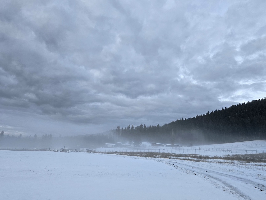 heavy fog over a snowy ranch field